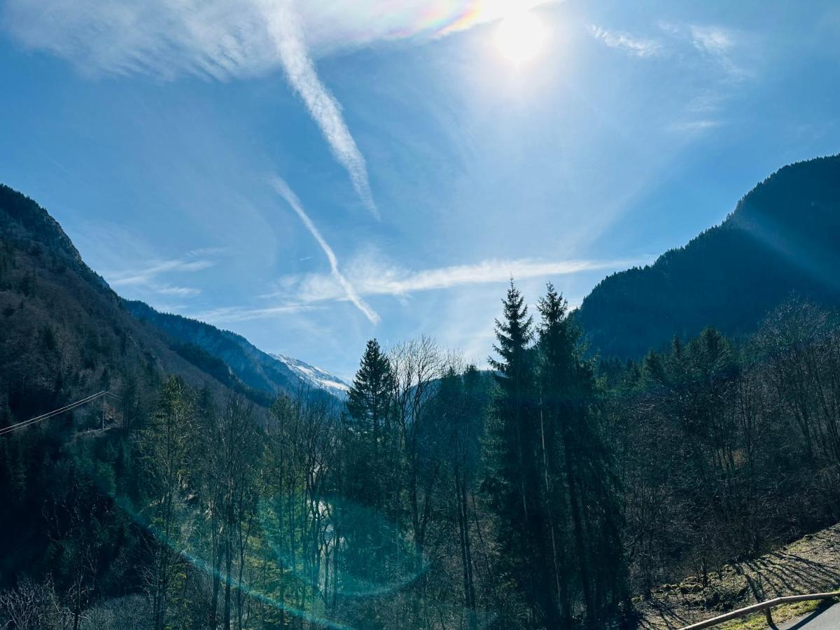 Вілла Chalet Du Bonheur Bonnevaux  Екстер'єр фото