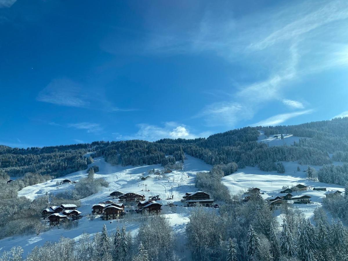 Вілла Chalet Du Bonheur Bonnevaux  Екстер'єр фото