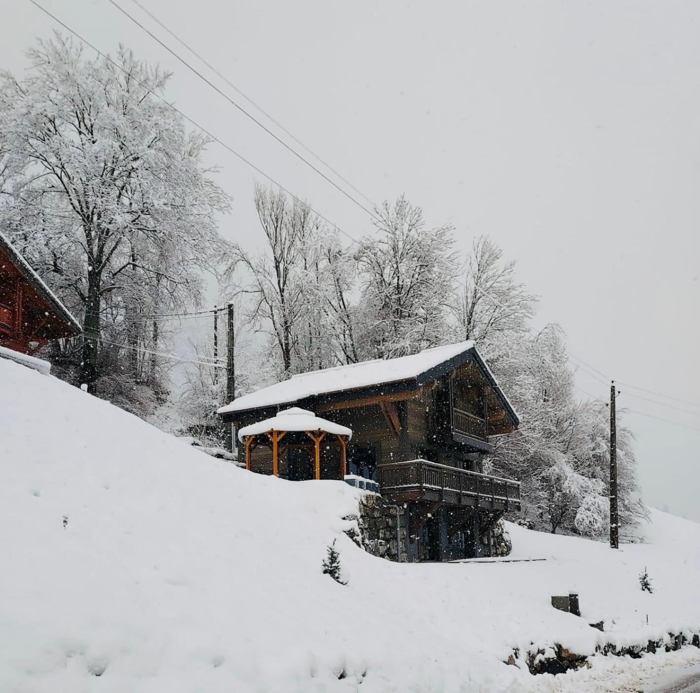 Вілла Chalet Du Bonheur Bonnevaux  Екстер'єр фото