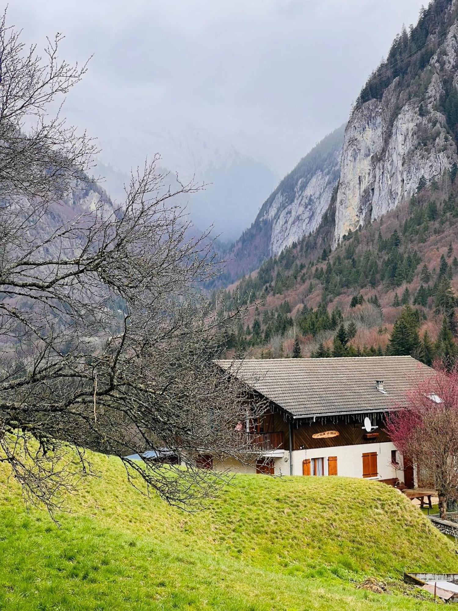 Вілла Chalet Du Bonheur Bonnevaux  Екстер'єр фото