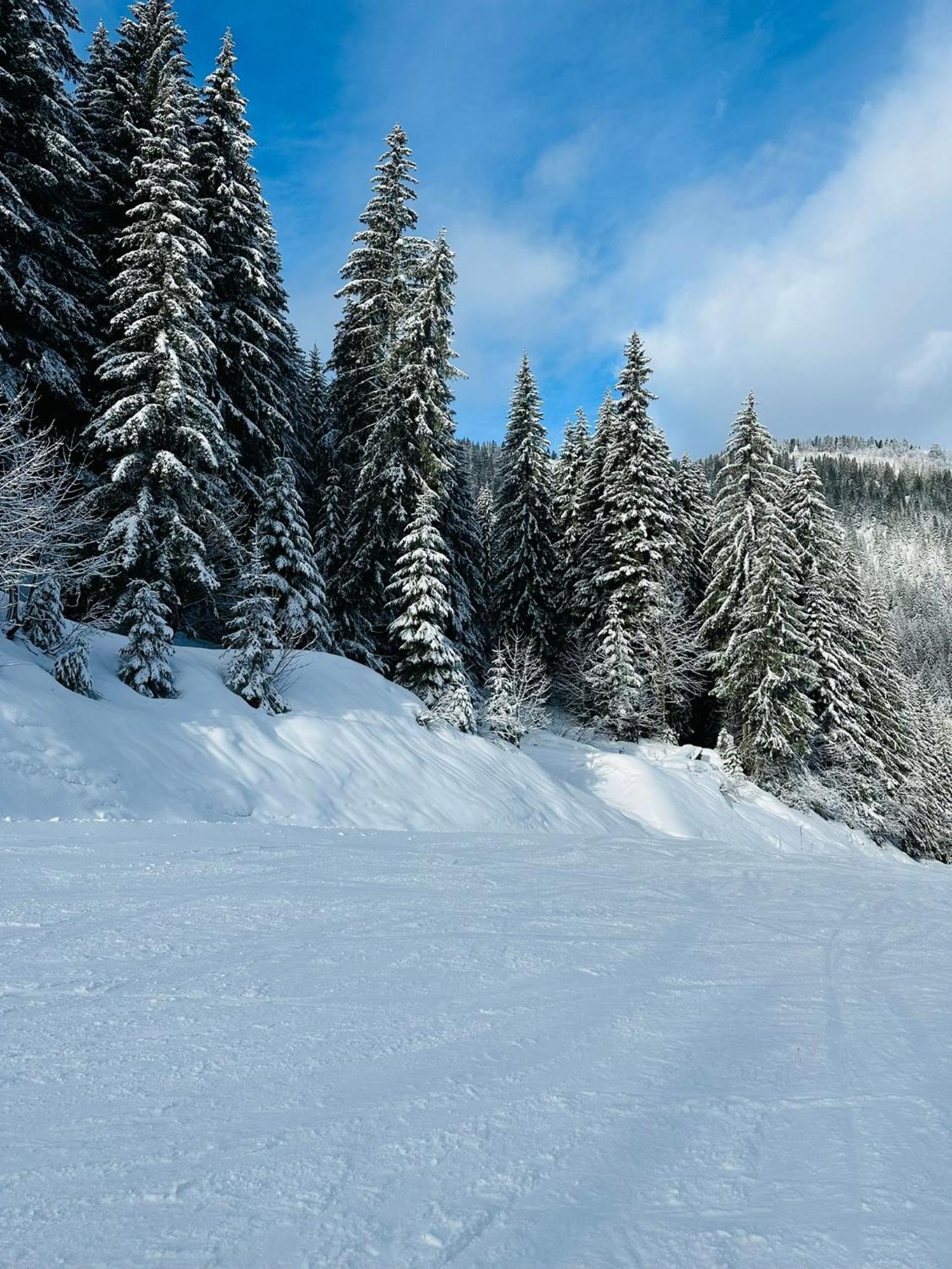 Вілла Chalet Du Bonheur Bonnevaux  Екстер'єр фото