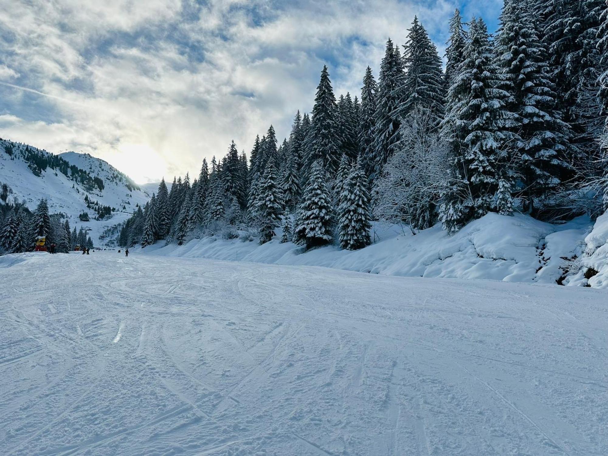 Вілла Chalet Du Bonheur Bonnevaux  Екстер'єр фото